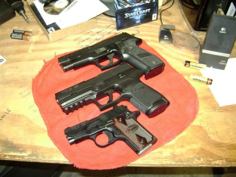 Sig_family.jpg