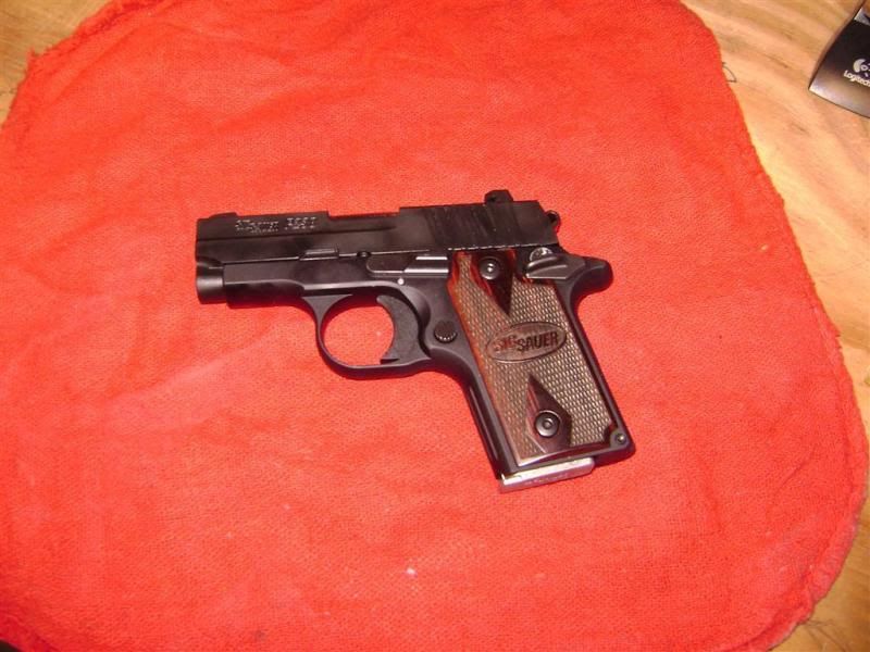 Sig_238_Nitro_380.jpg