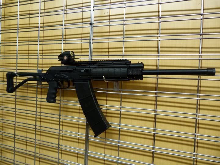 saiga2.jpg