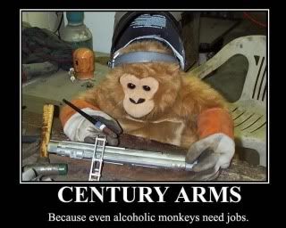 century20monkey1.jpg