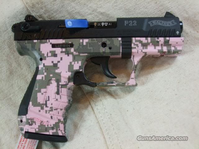 pop_wm_1043005.jpg