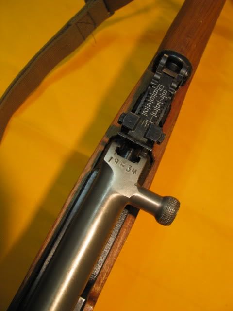 Picture023-1.jpg