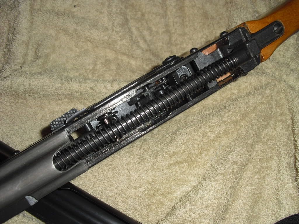 CIMG3407.jpg