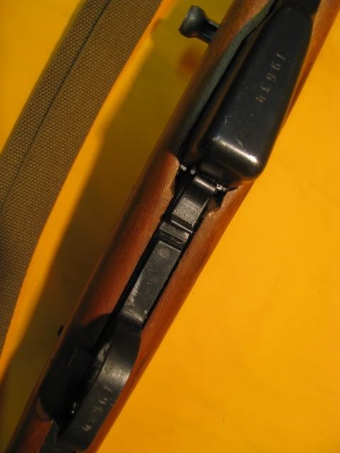 Picture024.jpg