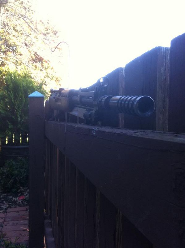 sks3.jpg