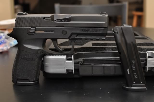 SigP2505.jpg