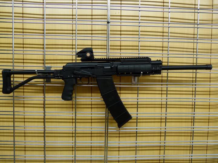 saiga3.jpg