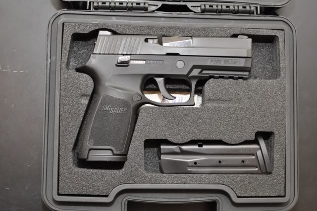 SigP2501.jpg