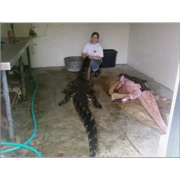 KricketandGator.jpg
