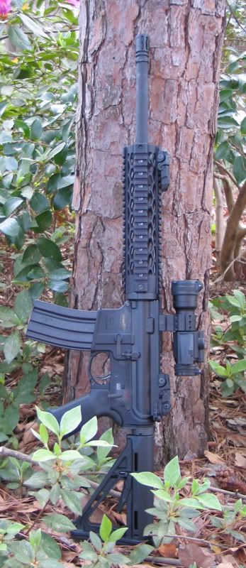 300-2.jpg