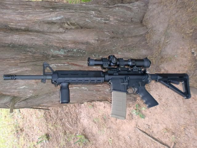 CIMG3340.jpg